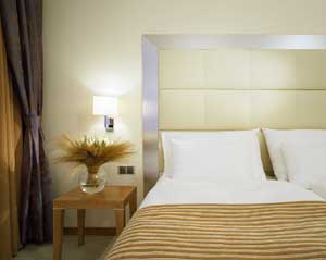 Standard single with queen bed, and private facilities (shower)